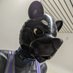 Carbon (@carbonkat) Twitter profile photo Carbon (@carbonkat) Twitter profile photo
