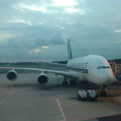 nishannahsin's profile picture. #Avgeek