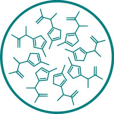 PfKf8's profile picture. きのこが好き　そして分からない