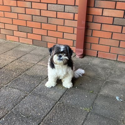 davetwitnz's profile picture. 