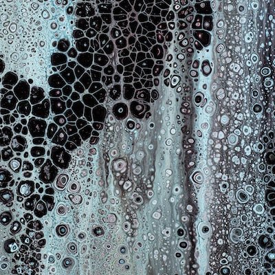 Cleora34542945's profile picture. 