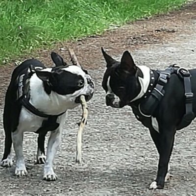 MissusCope's profile picture. 