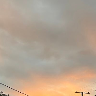 EliseMiller1805's profile picture. 