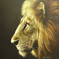 Sky (@sky34769) 's Twitter Profile