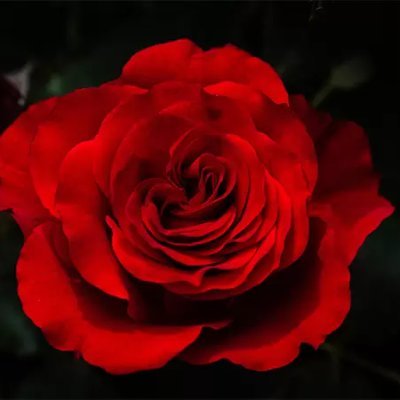 3aMBxlqwGSoBl3x's profile picture. 男も女も大好き20↑ 好きな動画・画像をリツイートします