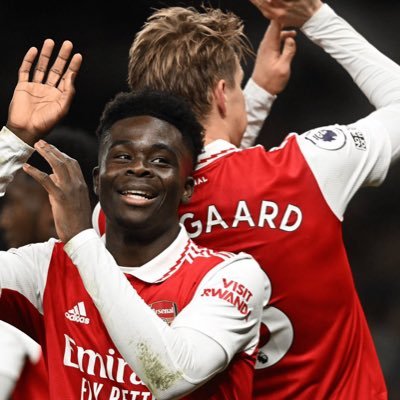 InveztorRobin's profile picture. true gunner fans ❤️