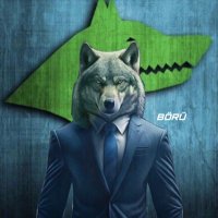 BÖRÜ (@kokboru_) 's Twitter Profile