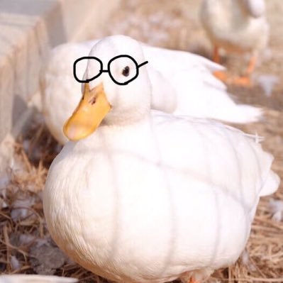 あいあさんのプロフィール画像