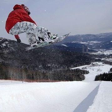 highollie's profile picture. 無言フォロー失礼します😝