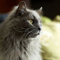 JamesMiller23 (@millerjamesjr) 's Twitter Profile