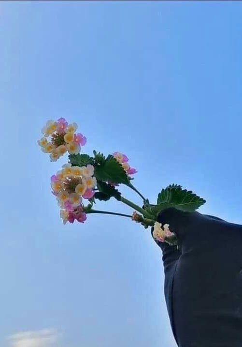 ﴿ وَقَالَ رَبُّكُمُ ادْعُونِي أَسْتَجِبْ لَكُمْ ۚ إِنَّ الَّذِينَ يَسْتَكْبِرُونَ عَنْ عِبَادَتِي سَيَدْخُلُونَ جَهَنَّمَ دَاخِرِينَ﴾