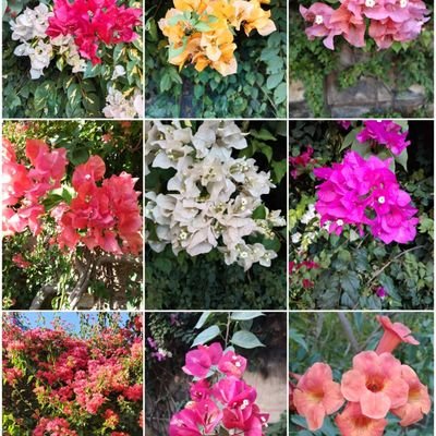 HumBhi3's profile picture. 