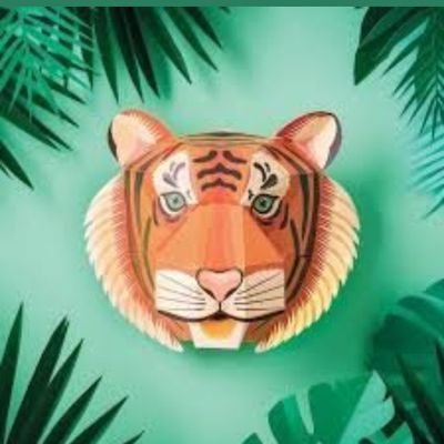 PaperTigerTK's profile picture. Basic Income Advocate, Privacy Doctor & Social Engineering.