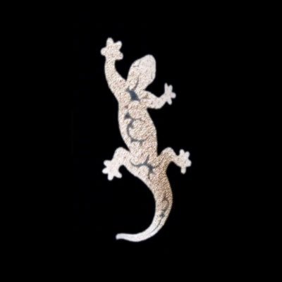 geckojw's profile picture. #TeslaVerleihFrankfurt #TeslaDriver #Photovoltaik ☀️🔋🔌 #mobilitätsmanager #Buyer #TeslaTuning #TeslaModelS