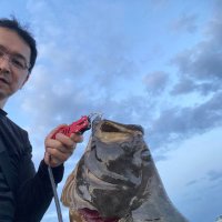 おはなみ (@ohanamiysr) 's Twitter Profile