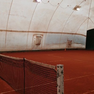 DiariodelTennis's profile picture. Curiosità, notizie, risultati e statistiche dal mondo del tennis 🎾🏆