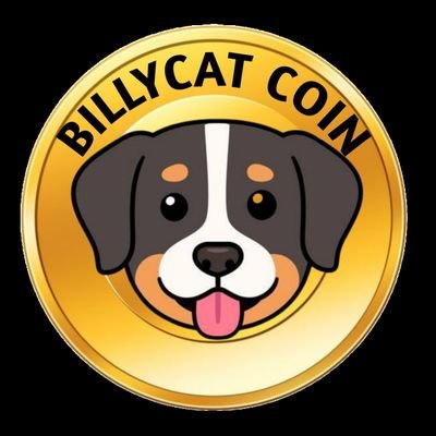 BillyCat is a deflationary token with 1% tax on every transaction. DOGECOIN owns DOGE blockchain and BillyCat owns CAT blockchain with better features.
#BILC