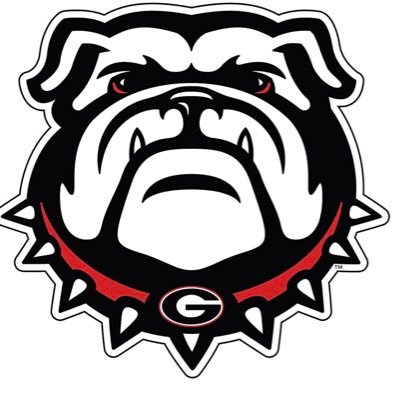 Go Dawgs, Go Braves, Go #9.                         football, baseball and NASCAR