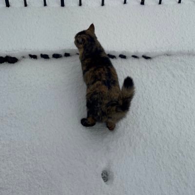 yusei25384140's profile picture. 