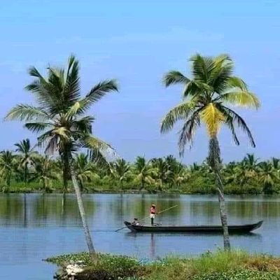 Obutaste's profile picture. Just simple but extraordinary

QQZZW9QP