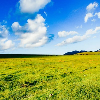 wzack_sky's profile picture. 技术直男