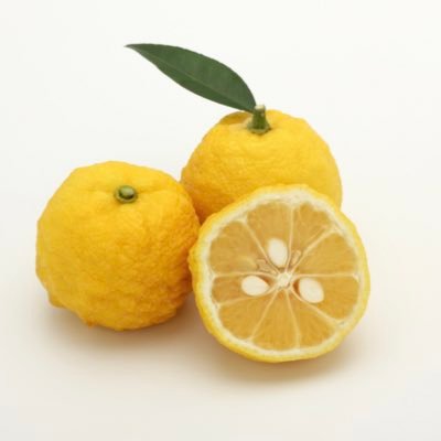 v4Un5iyk36yeyYt's profile picture. 