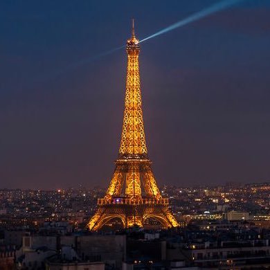 Adjoint à la Mairie de Paris en charge des relations entre les salades au Tofu et les tatouages au Henné.