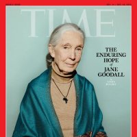 JGI UK and Roots & Shoots(@JaneGoodallUK) 's Twitter Profile Photo