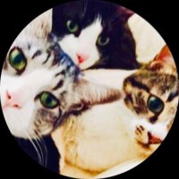 日笠雅水 (@maaco3) 's Twitter Profile Photo 日笠雅水 (@maaco3) 's Twitter Profile Photo