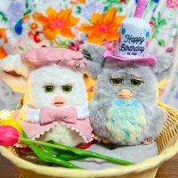 Haru (@haru_furby) 's Twitter Profile Photo Haru (@haru_furby) 's Twitter Profile Photo