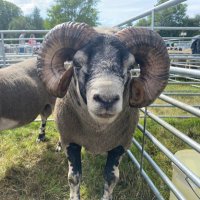 Farming Life (@farminglifeni) 's Twitter Profile Photo Farming Life (@farminglifeni) 's Twitter Profile Photo