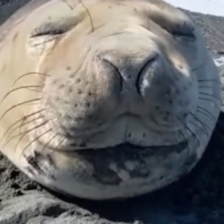 jetsrule9769's profile picture. 