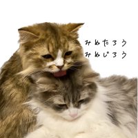 みぬ太郎とみぬ次郎(@minuminutaro) 's Twitter Profile Photo