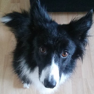 diciembredel89's profile picture. 