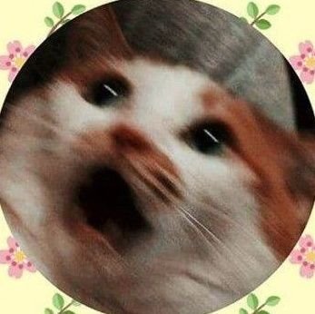 psychomathys's profile picture. 