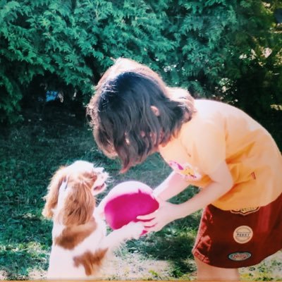 suika_gyoza2's profile picture. 映画/ドラマ/シナリオ ✏︎シナリオセンター通信講座研修科 🎞https://t.co/LjoTD1mn9s