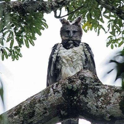 badboyreeky's profile picture. 