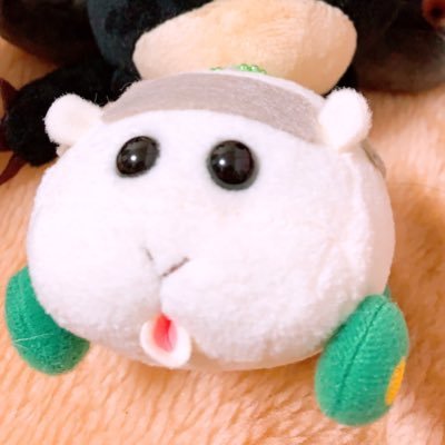鈴木みぃさんのプロフィール画像