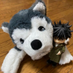 クリンすい🐺 (@kjck7fwa71pyeaj) Twitter profile photo クリンすい🐺 (@kjck7fwa71pyeaj) Twitter profile photo