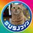 †★夜目屋★†(ナイトメヤ)chatoのTwitterプロフィール画像