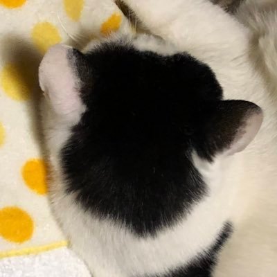 橘　通知不良気味です…さんのプロフィール画像