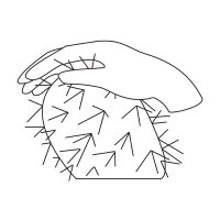 Paradise Editions (@editio3paradise) 's Twitter Profile Photo