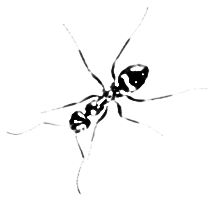 ant_s77's profile picture. ありんこ使いの某博物館学芸員。 天文屋さん。平均的人生（＠日本）が半分終わりました。 建設的議論やご冗談のようなリプライ、RTはご自由に。https://t.co/4VbtynrtZH https://t.co/9v6goeGEzE