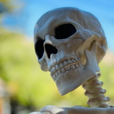 virtualcurtis's profile picture. technology and hoops