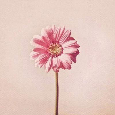 ljohis28's profile picture. 