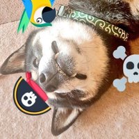まめしば⚔️Symbol海賊団🏴‍☠️🛡️💖＠maromaro1989.symbol(@maromaro1989) 's Twitter Profile Photo