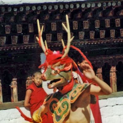 WodgerWed's profile picture. 