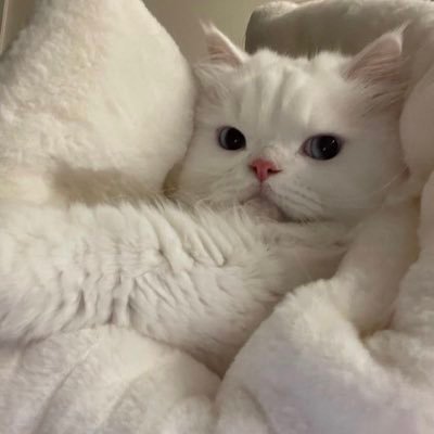 txtyne's profile picture. วรรณกรรม