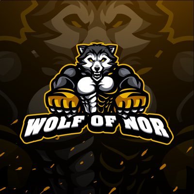 WOLF_OF_NOR Profile Picture