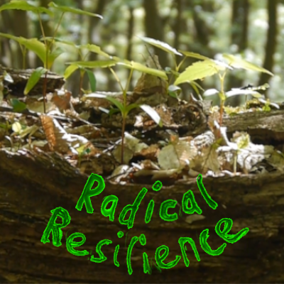 Radical Resilience